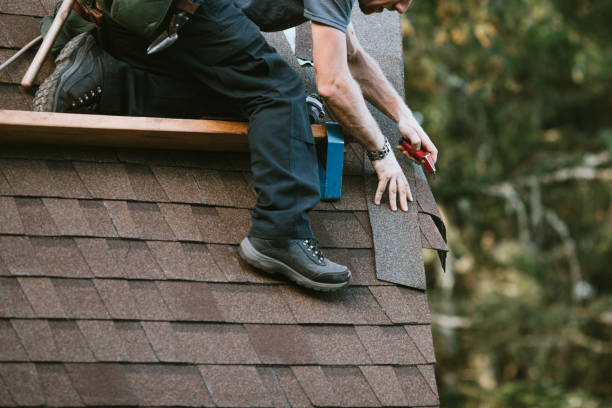 Best Storm Damage Roof Repair  in Morehead, KY