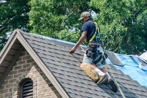 Best Local Roofing Companies  in Morehead, KY